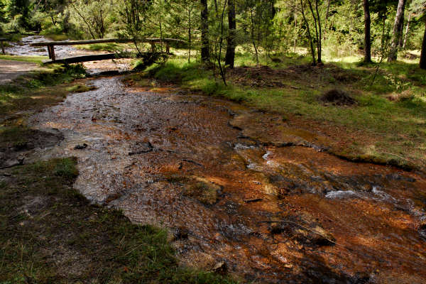 area archeologica nauturalistica di Lagole a Calalzo di Cadore, Belluno Dolomiti