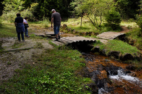 area archeologica nauturalistica di Lagole a Calalzo di Cadore, Belluno Dolomiti