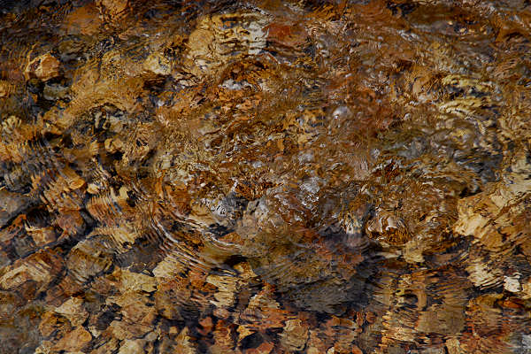 area archeologica nauturalistica di Lagole a Calalzo di Cadore, Belluno Dolomiti
