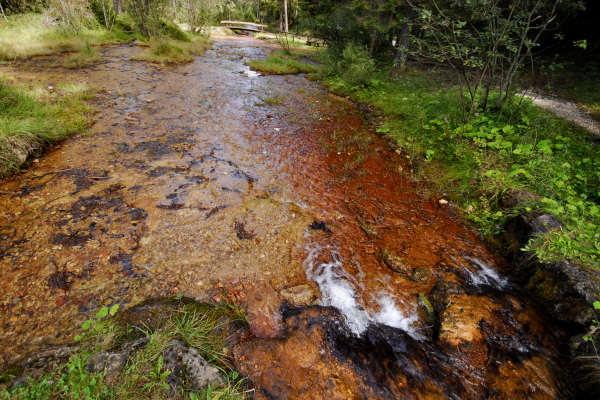 area archeologica nauturalistica di Lagole a Calalzo di Cadore, Belluno Dolomiti