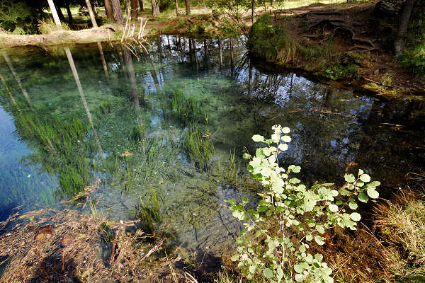area archeologica nauturalistica di Lagole a Calalzo di Cadore, Belluno Dolomiti