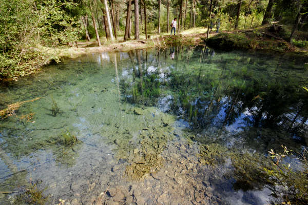 area archeologica nauturalistica di Lagole a Calalzo di Cadore, Belluno Dolomiti