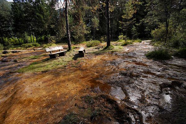 area archeologica nauturalistica di Lagole a Calalzo di Cadore, Belluno Dolomiti