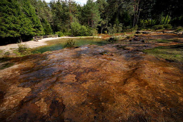 area archeologica nauturalistica di Lagole a Calalzo di Cadore, Belluno Dolomiti