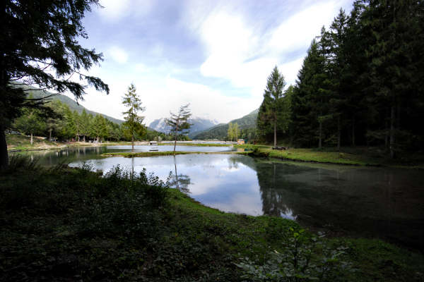 area archeologica nauturalistica di Lagole a Calalzo di Cadore, Belluno Dolomiti