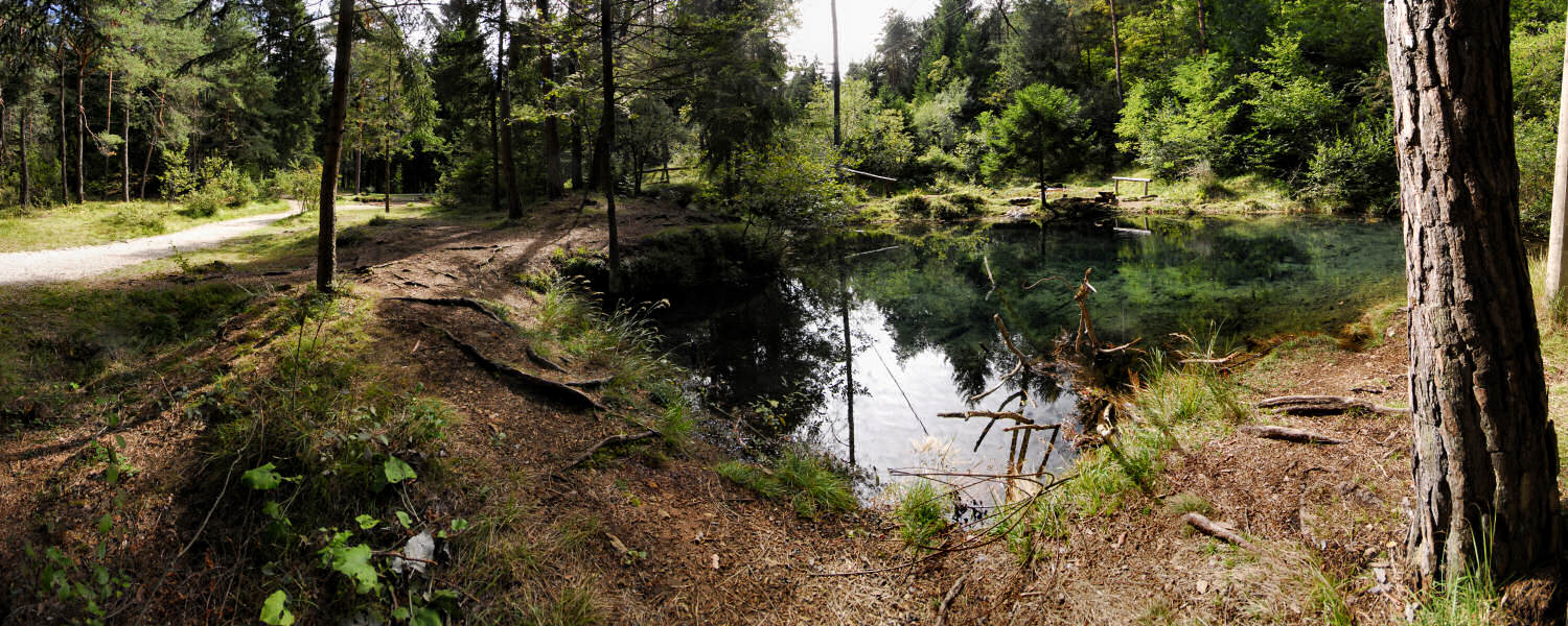 Dolomiti, Calalzo di Cadore, Lagole
