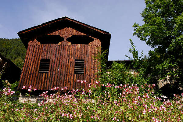 Rizzios di Calalzo di Cadore, Belluno Dolomiti