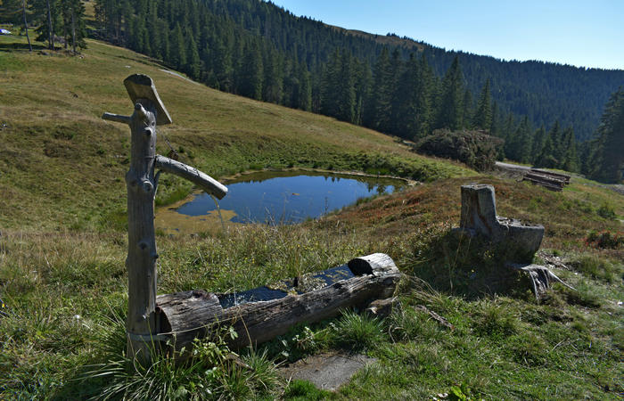 Comelico, escursione da Costa a monte Zovo e al rifugio DeDoo