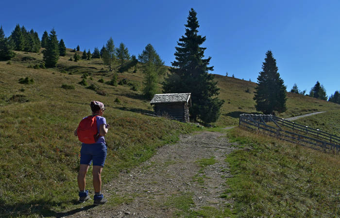 Comelico, escursione da Costa a monte Zovo e al rifugio DeDoo