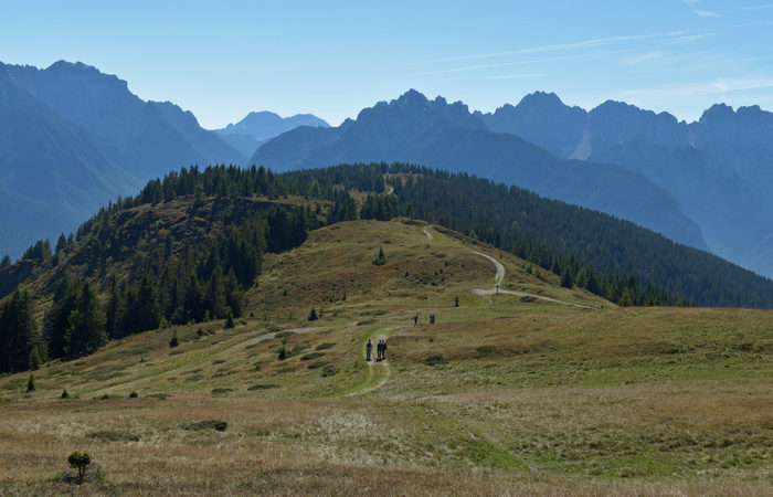 Comelico, escursione da Costa a monte Zovo e al rifugio DeDoo