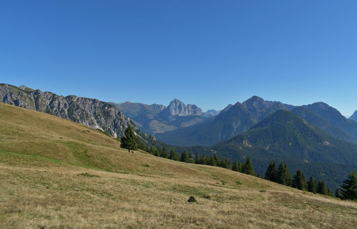Comelico, escursione da Costa a monte Zovo e al rifugio DeDoo