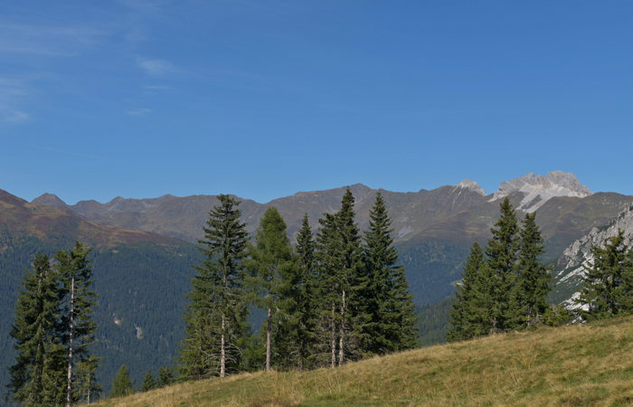 Comelico, escursione da Costa a monte Zovo e al rifugio DeDoo