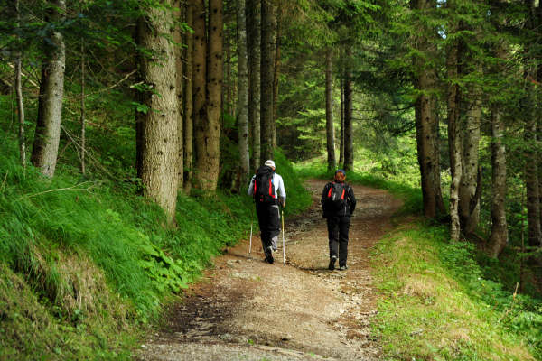 Lorenzago di Cadore, passeggiata dal passo Mauria alla ex Caserma Monte Miaron