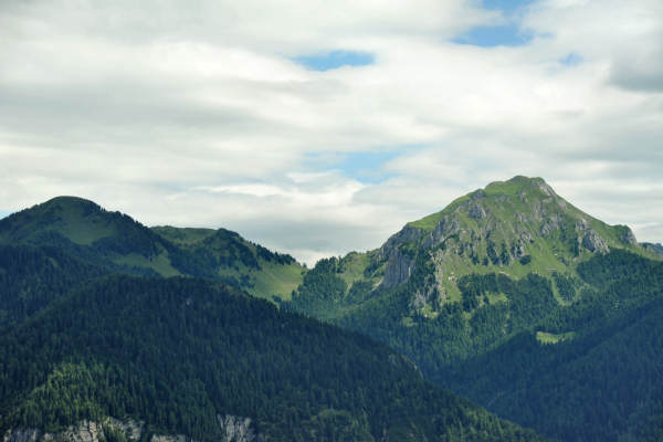 Lorenzago di Cadore, passeggiata dal passo Mauria alla ex Caserma Monte Miaron