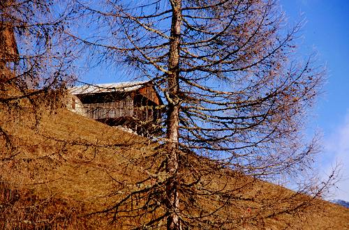 San Pietro di Cadore