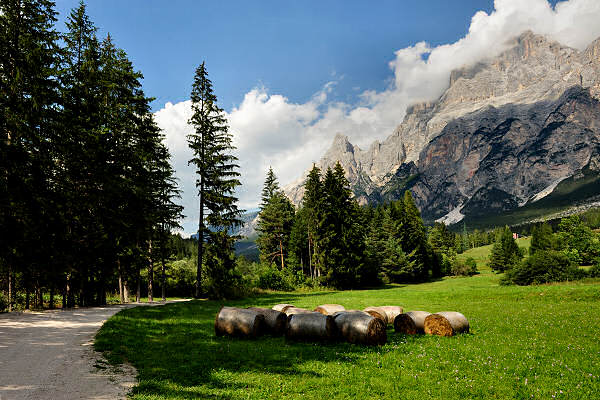 percorso Nordic Walking San Vito di Cadore Dolomiti