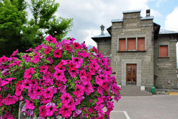percorso Nordic Walking San Vito, Borca, Vodo di Cadore Dolomiti