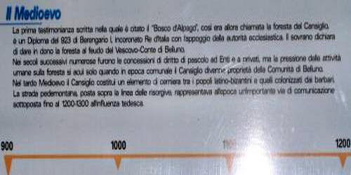 Pian Cansiglio - Foresta del Cansiglio