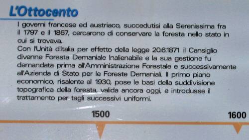 Pian Cansiglio - Foresta del Cansiglio