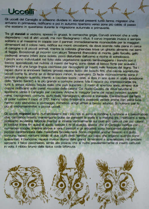 Pian Cansiglio - Foresta del Cansiglio