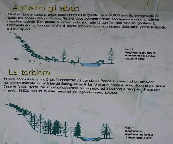 Palughet, Cansiglio, geologia e preistoria