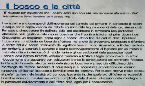 Pian Cansiglio - Foresta del Cansiglio