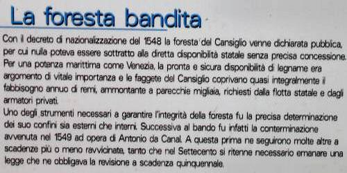 Pian Cansiglio - Foresta del Cansiglio