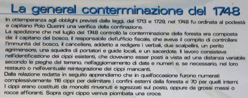 Pian Cansiglio - Foresta del Cansiglio