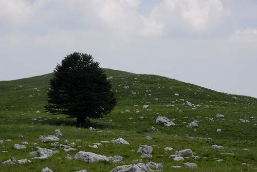 passeggiata delle malghe al Piancavallo