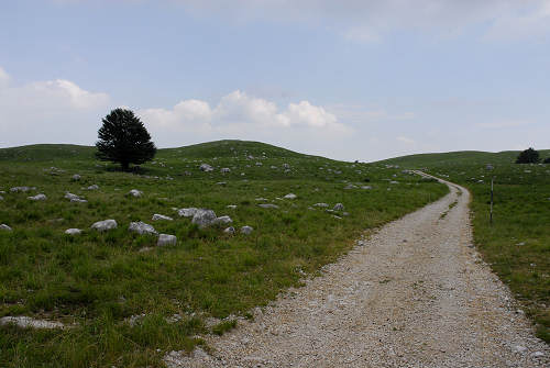 passeggiata delle malghe al Piancavallo