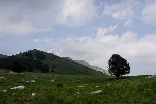 passeggiata delle malghe al Piancavallo