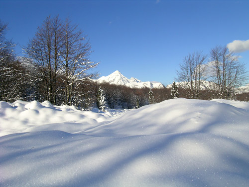 sentiero delle malghe al Piancavallo