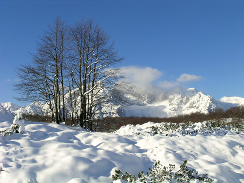 sentiero delle malghe al Piancavallo