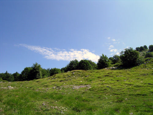 Prati Forador - Cansiglio