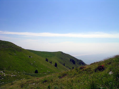 Prati Forador - Cansiglio