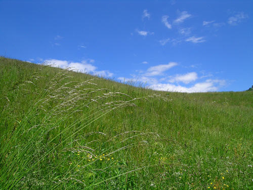 Casera Giais - Cansiglio