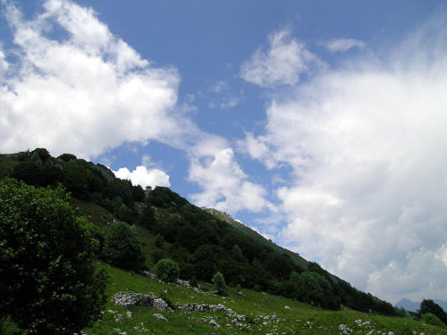 Casera Rupeit - Cansiglio