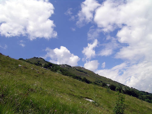 Pala d'Altei - Cansiglio