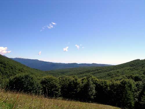 dal Pizzoc verso il Pian Cansiglio