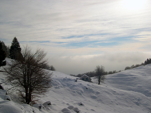 Pian Cavallo - Sponda Alta
