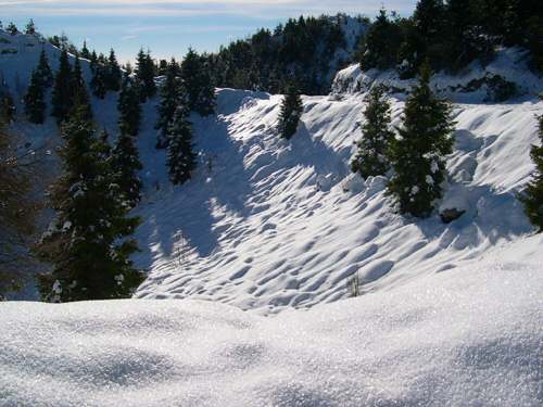 tra Pian Cavallo e Pian Cansiglio