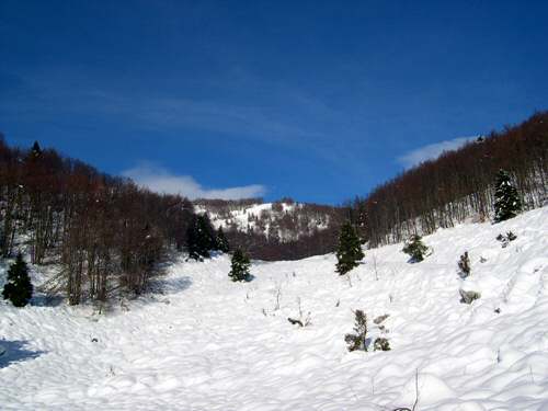 tra Pian Cavallo e Pian Cansiglio