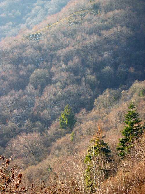 Pian Cavallo -Busa Bernart