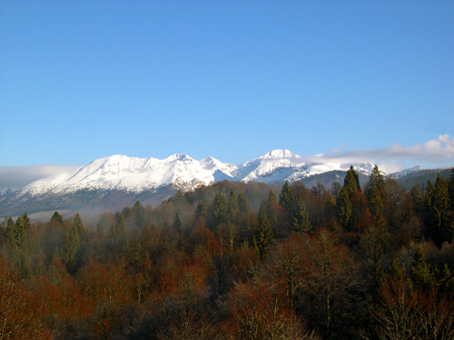 tra Pian Cavallo e Pian Cansiglio