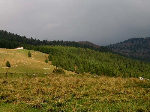 autunno in Valmenera nella Piana del Cansiglio