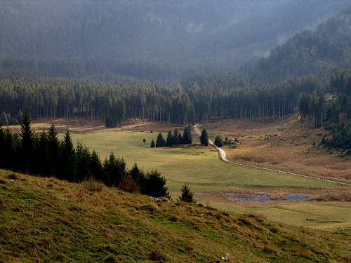 autunno in Valmenera nella Piana del Cansiglio
