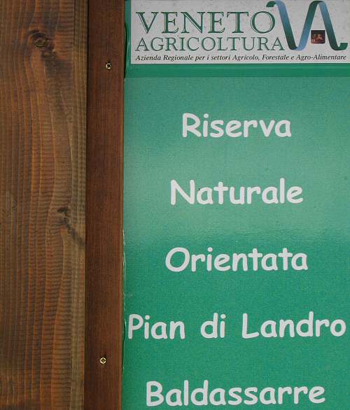 Veneto Agricoltura, Pian Cansiglio - Foresta del Cansiglio