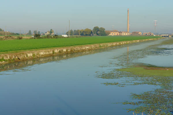 Cicloturismo bocche del Po di Goro e Po di Gnocca