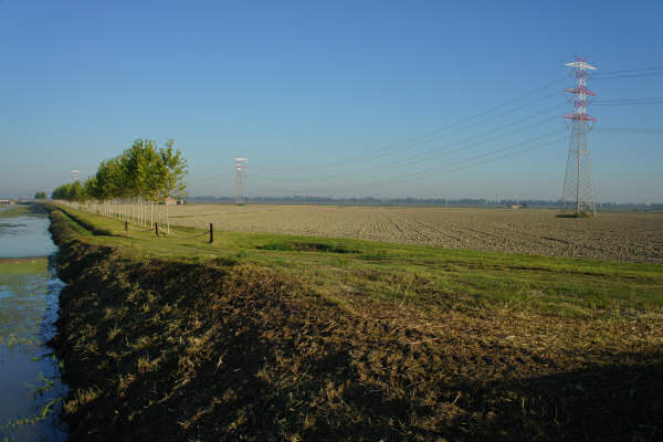 Cicloturismo bocche del Po di Goro e Po di Gnocca