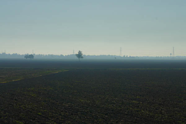 Cicloturismo bocche del Po di Goro e Po di Gnocca